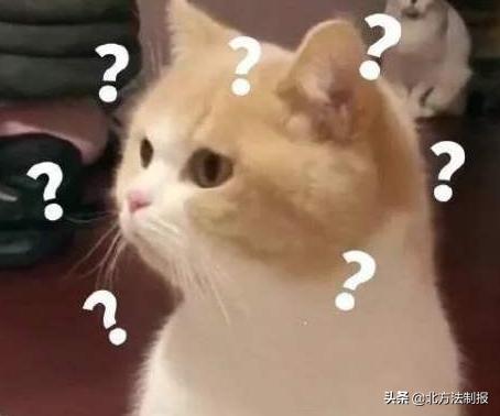 花8万住月子中心,宝宝在月子中心得了肺炎