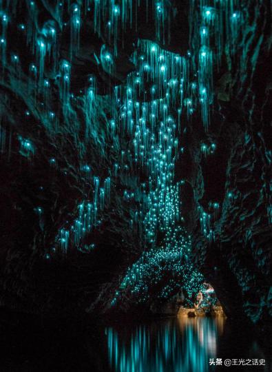 为什么说新西兰是大农村,新西兰怎么成为发达国家