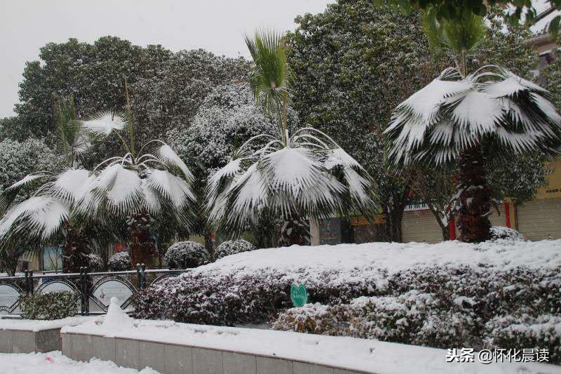 一场雪惊艳了一座城视频,一场雪激发了多少创造力