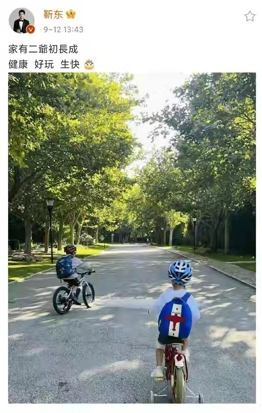 靳东俩儿子真厉害！小小年纪气场超稳，穿T恤“老干部”味不输爸