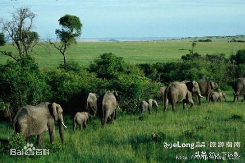 非洲史|亚的斯亚贝巴：埃塞俄比亚的首都，350万人，非洲最高城市