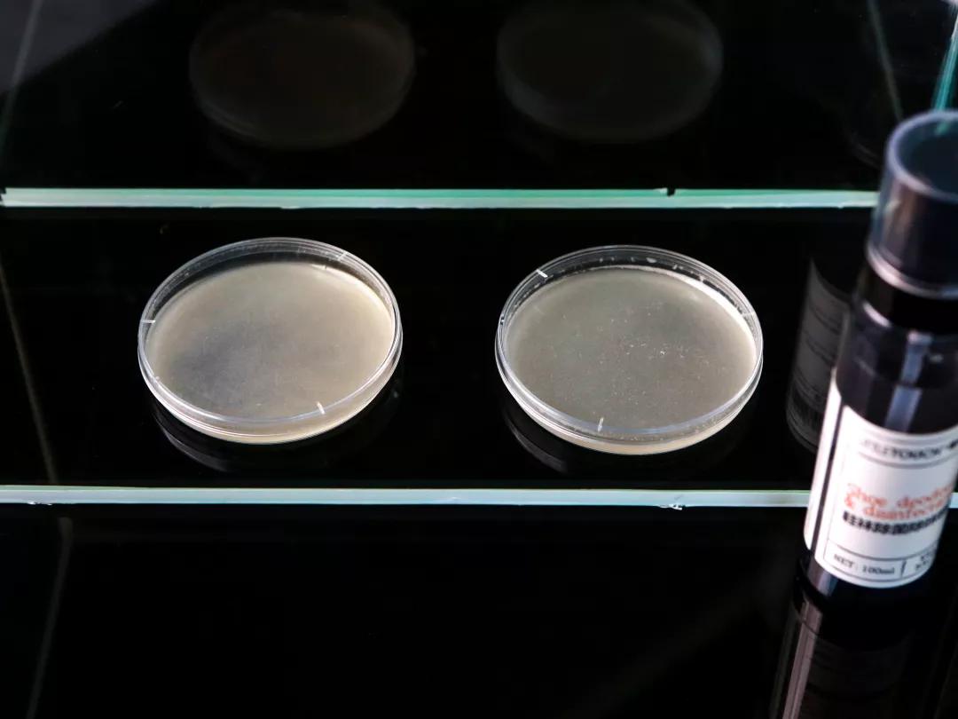 还在担心“脚臭”影响个人形象？黑科技喷雾一喷，24小时无味干爽