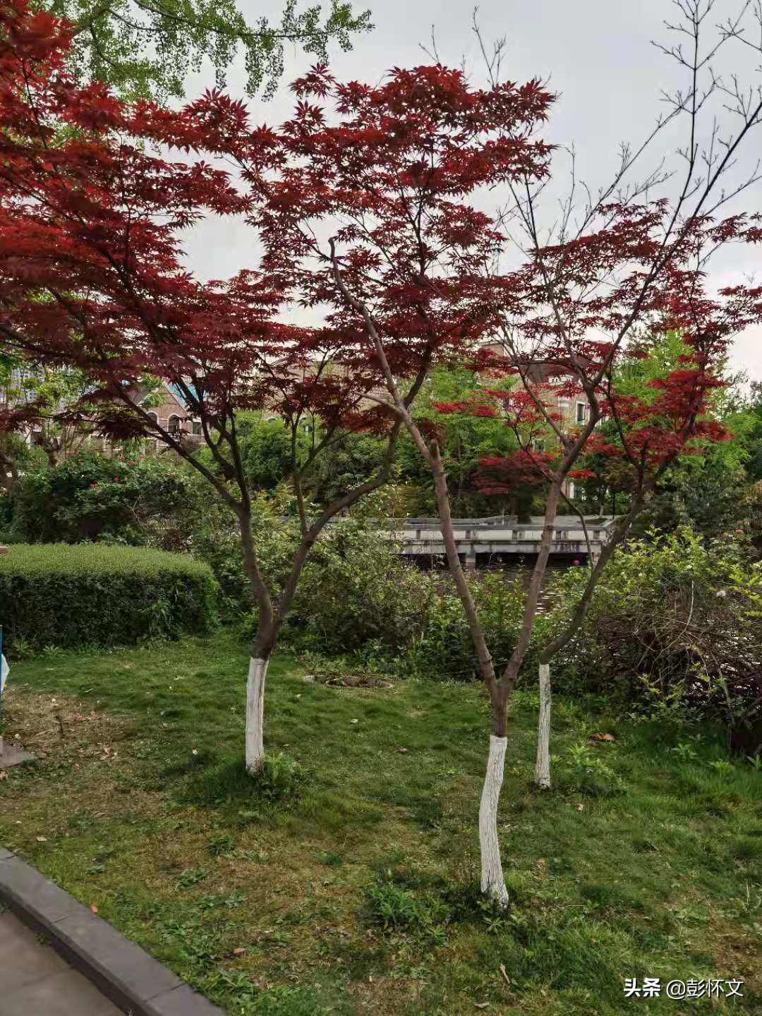 最新财税问题解答问题合集,最新财税知识解答大全