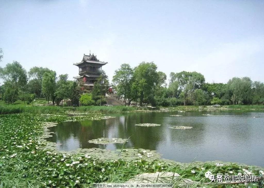 泊头市顺景苗木种植场,泊头园林苗木