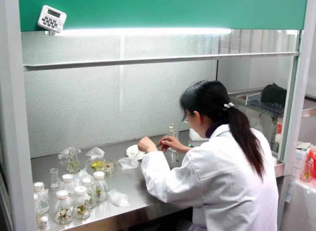 鑲ヤ埂娌冨湡绉嶄笟,鑲ヤ埂娌冨湡绉嶄笟鏈夐檺鍏徃鍦板潃