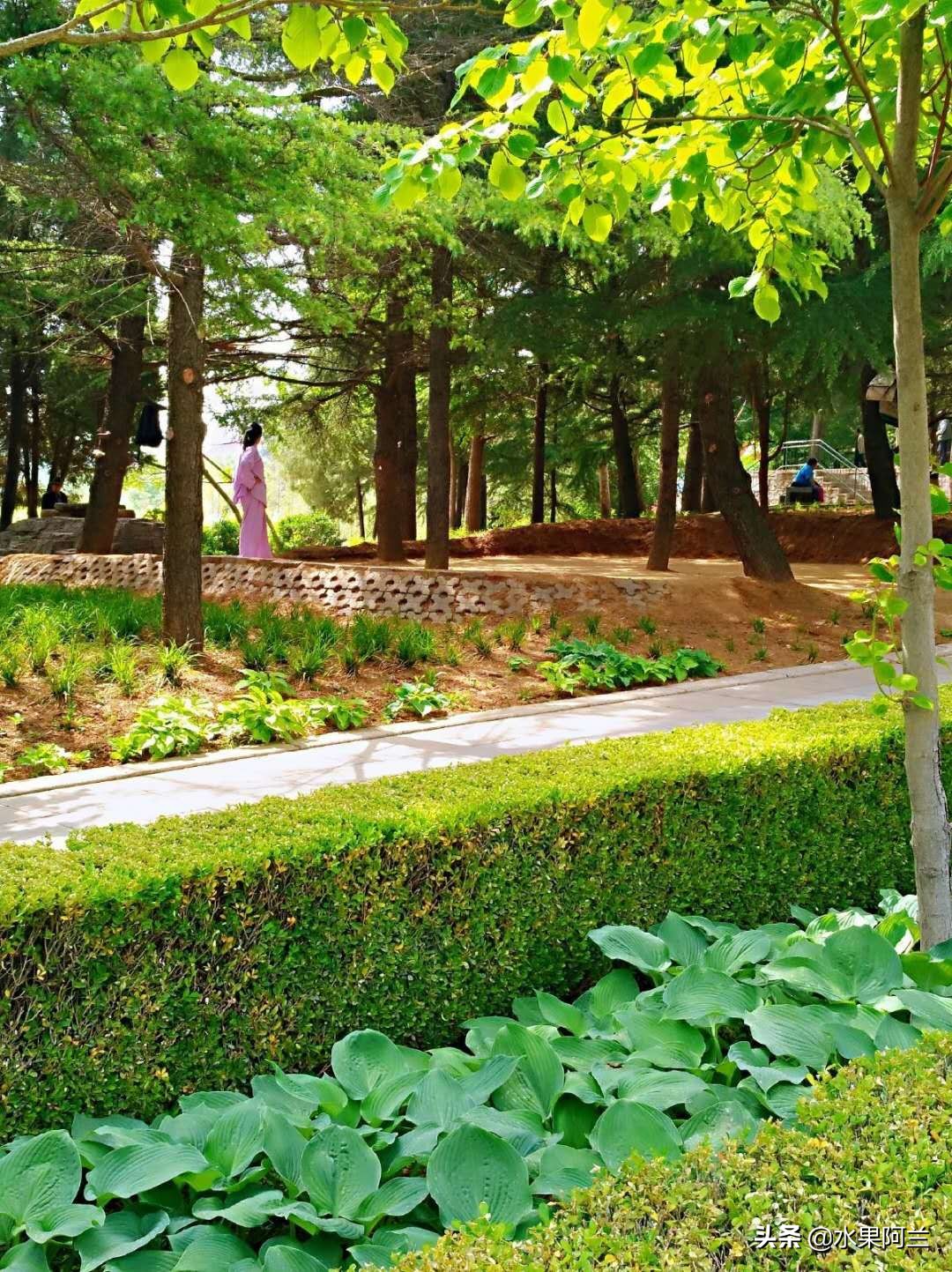 大连旅游团4天三晚,大连4天3晚跟团自由行