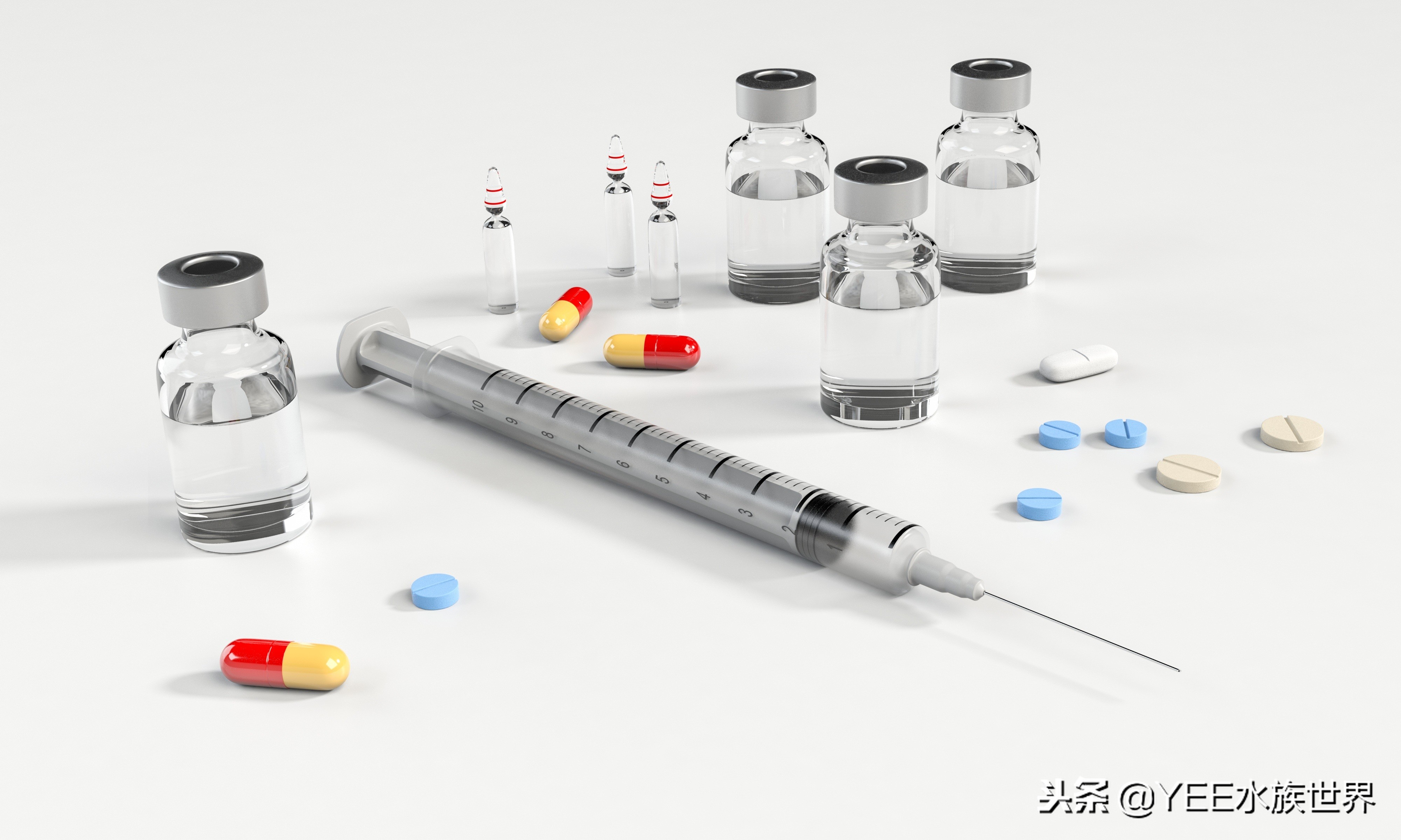 怕什么来什么，鱼在秋冬季得肠炎怎么办？