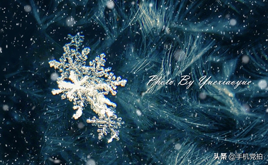 生活小妙招手机摄影,生活小妙招如何拍出爆款