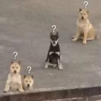 二手u盘为什么贵,旧u盘