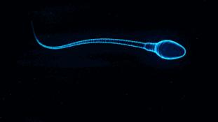 用润滑剂，真的能让爱爱体验更好吗？