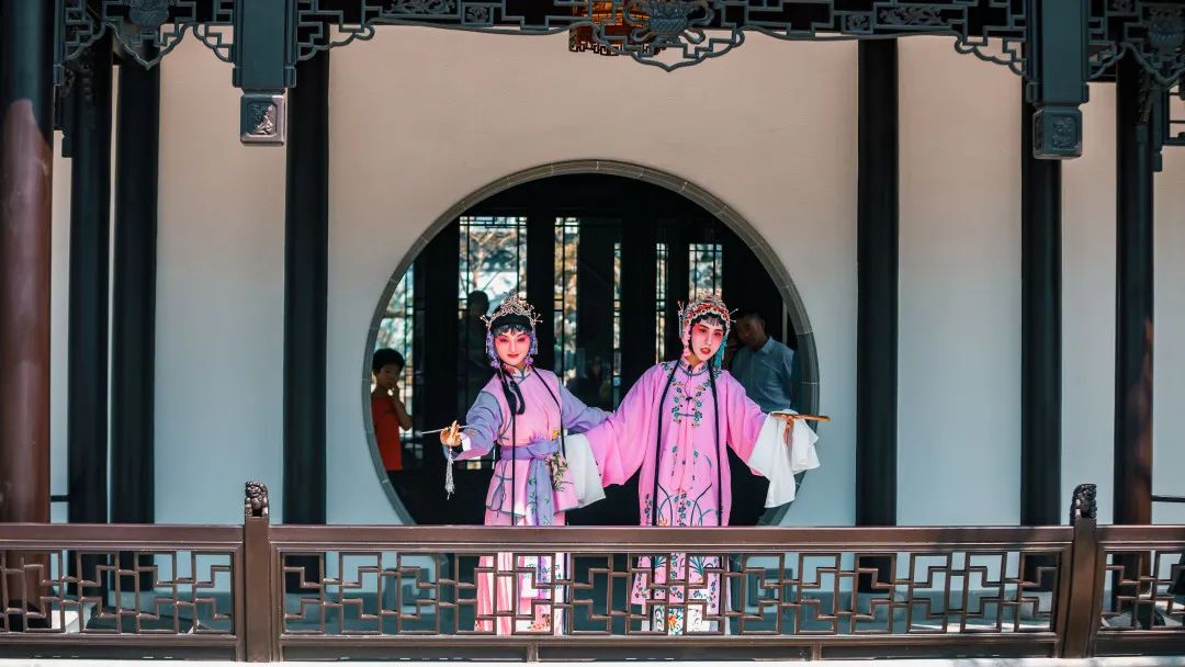 园启江山，恰逢其时|「江山春好」生活服务体验馆公开