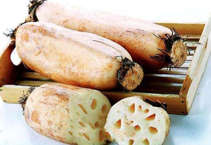 买莲藕牢记这4点再也不会买错,买莲藕要擦亮眼睛