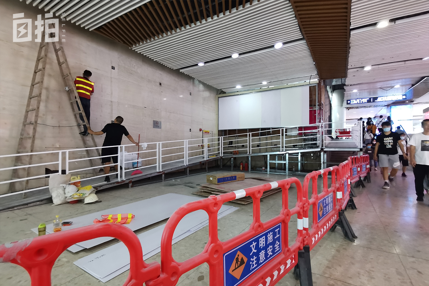 我，坐轮椅的大学生，上天能跳伞、下海能潜水，像普通人一样生活