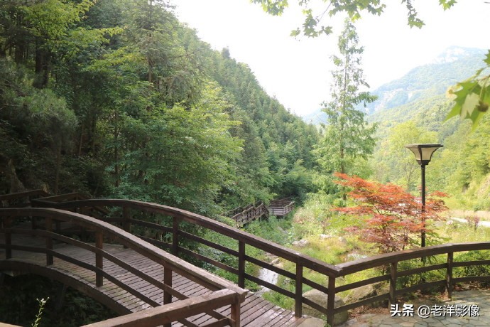 藏龙大别山度假酒店,罗田天堂寨藏龙大酒店价格