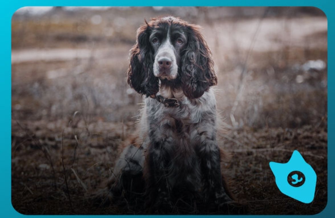 俄罗斯最著名的十大雕塑是,俄罗斯最著名的十大建筑物