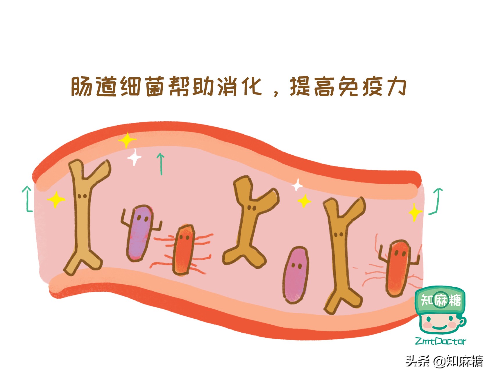 剖宫产又多了一宗罪，造成新生儿肠道菌群发育不良？