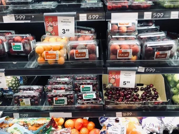 新西兰自驾游需要注意什么,新西兰自驾游要带什么东西