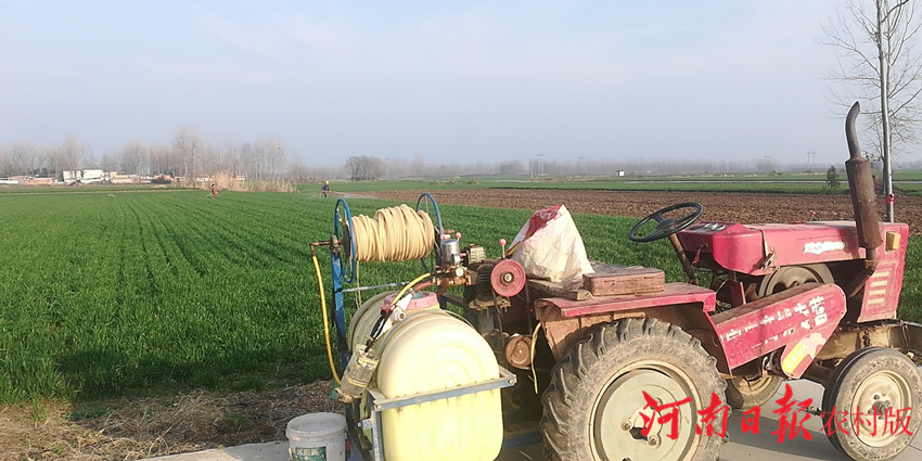 信阳平桥区疫情防控最新,信阳肖店疫情防控