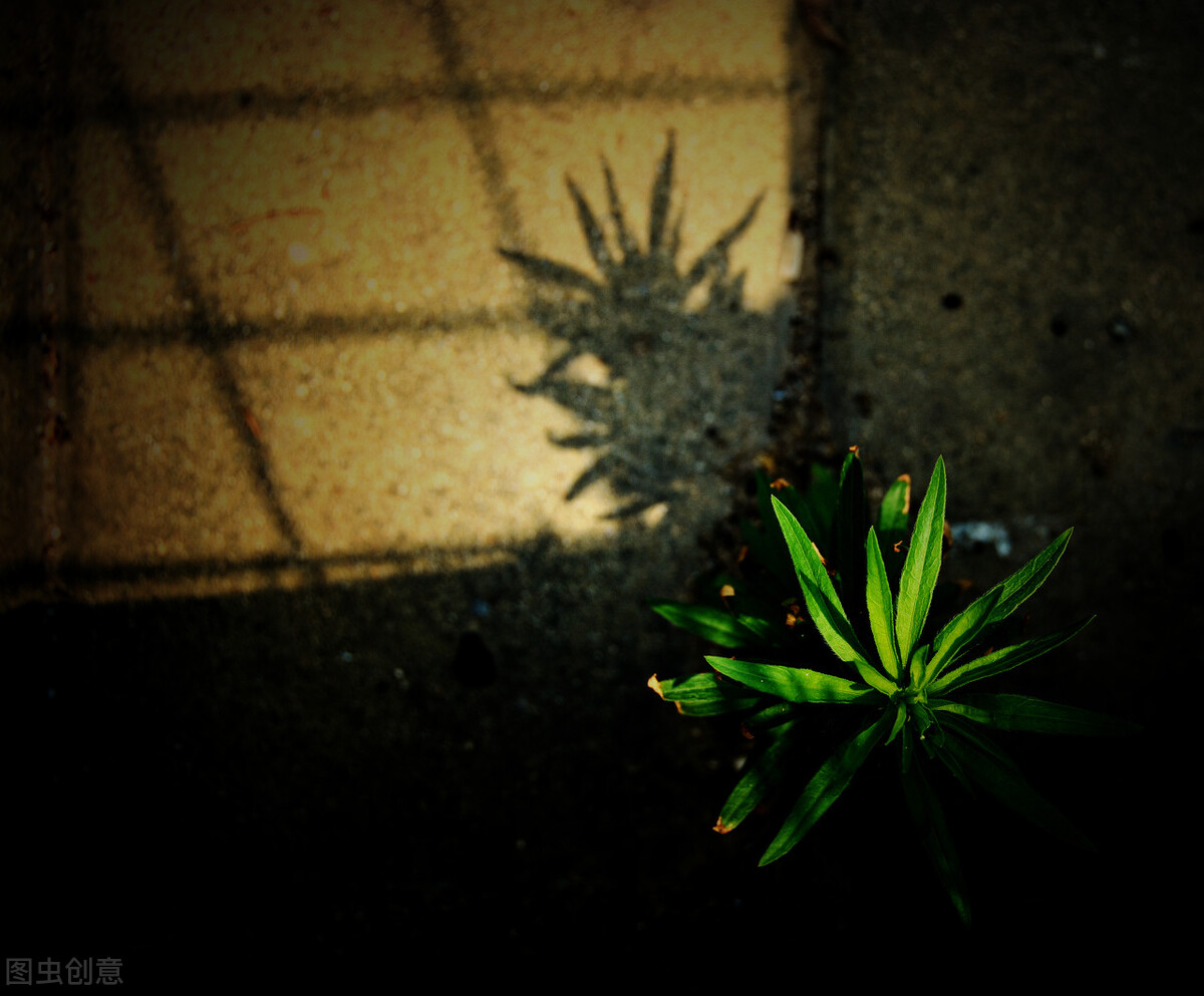 被欺凌，被霸凌，遭受*害迫**，难道这就是“我们”的命运吗？