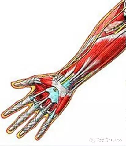 中医儿童腱鞘炎最佳治疗方法,中医治疗手指腱鞘炎最好的方法