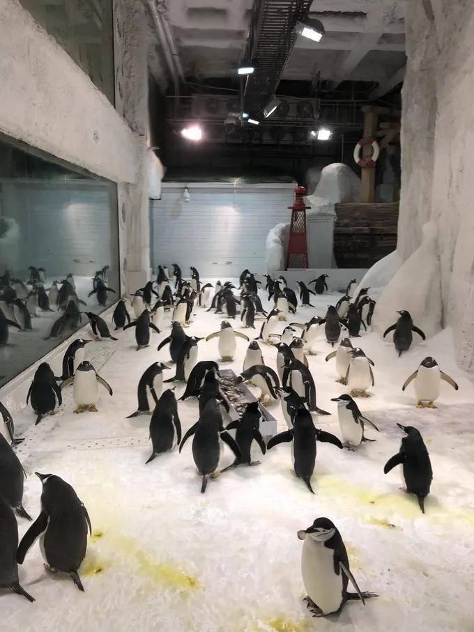 大连金石滩冬天一路美景,漫步在大连金石滩的黄金海岸