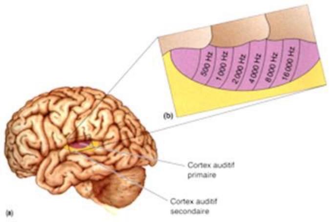 要不是高考时脑子里循环放歌,说不定我早考上清华北大了