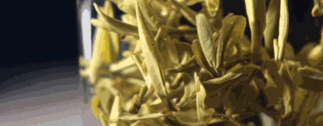 最神奇的树叶茶,中国神奇的叶子茶是什么茶