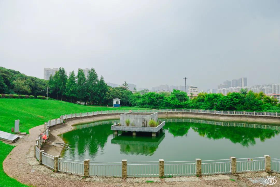 深圳宝藏公园风景图片,深圳宝藏自然游乐区