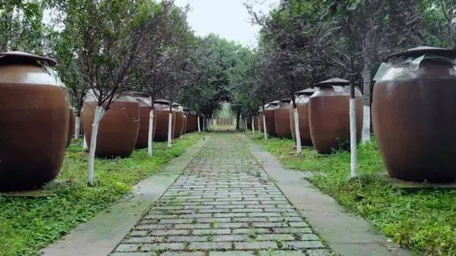 邛崃产区“抱团而来”，5亿打造成都酒业集团！|卖酒狼关注