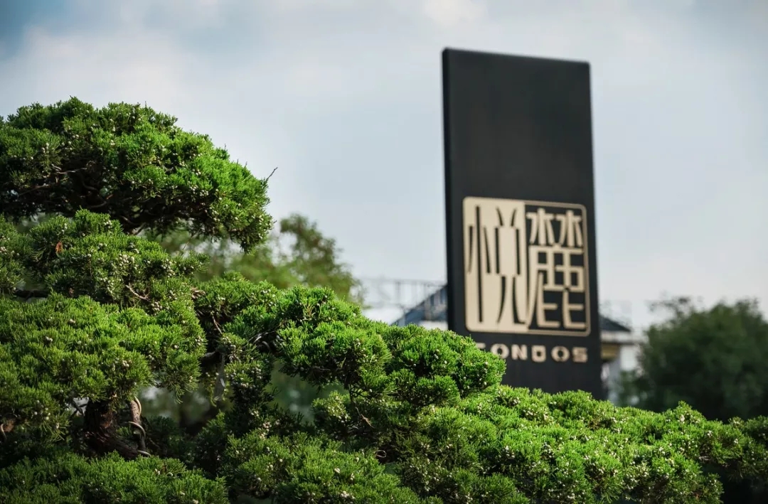 「泛亚出品」面向天空谋划未来TOD上盖的秘境花园