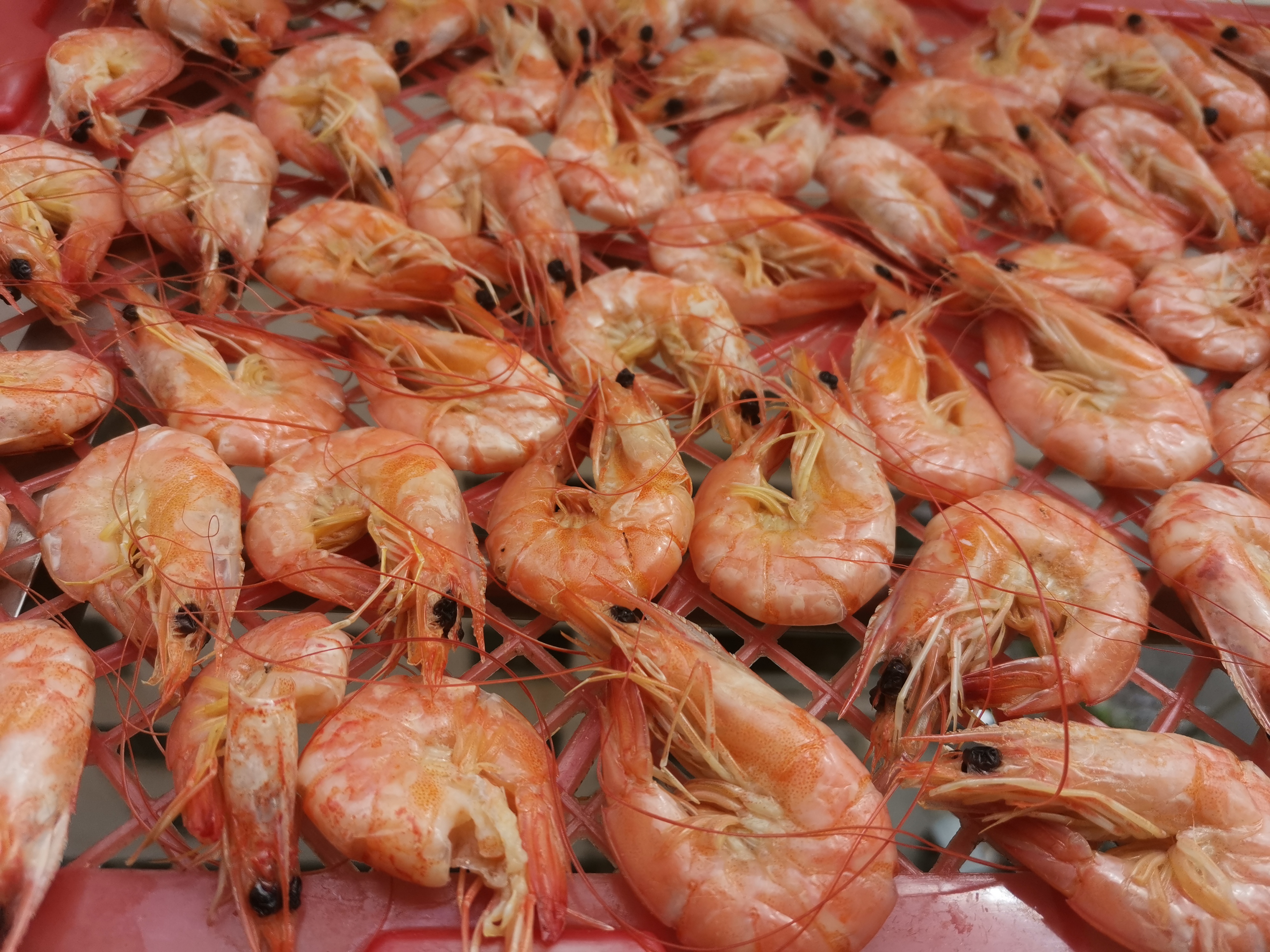 好吃虾干制作方法,速冻过的虾干怎么做最好吃