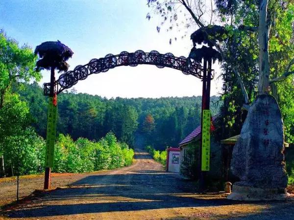 五一小长假昆明周边露营地点推荐,昆明周边户外露营游