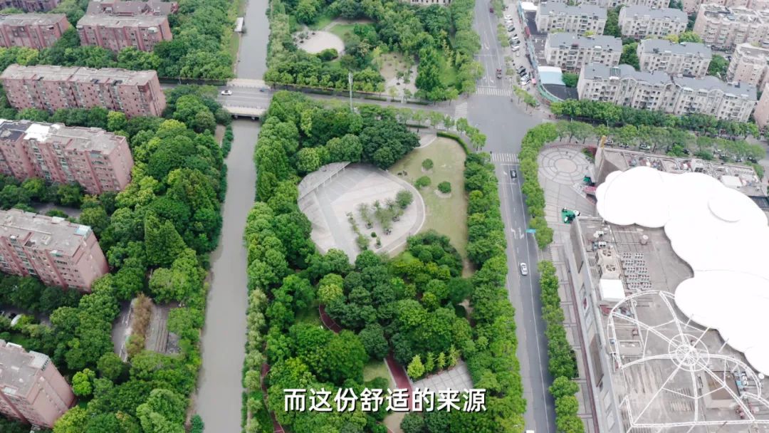 到前滩800米房价却一半不到，浦东杨思是真洼地？还是真不行？