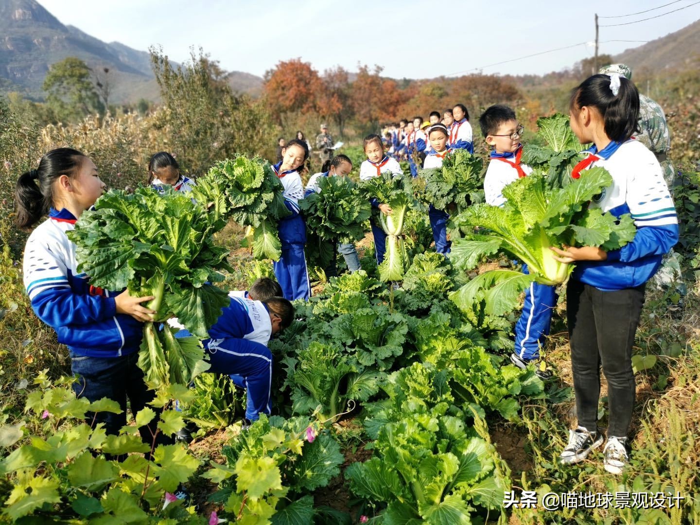 美丽乡村的盈利项目,美丽乡村项目的成功案例