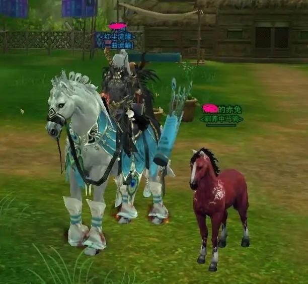 吾家有妻初长成番外全集,吾家有妻初长成剧情介绍