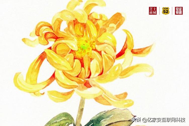 干货调料品如何辨别好坏,干货鉴定真伪的方法