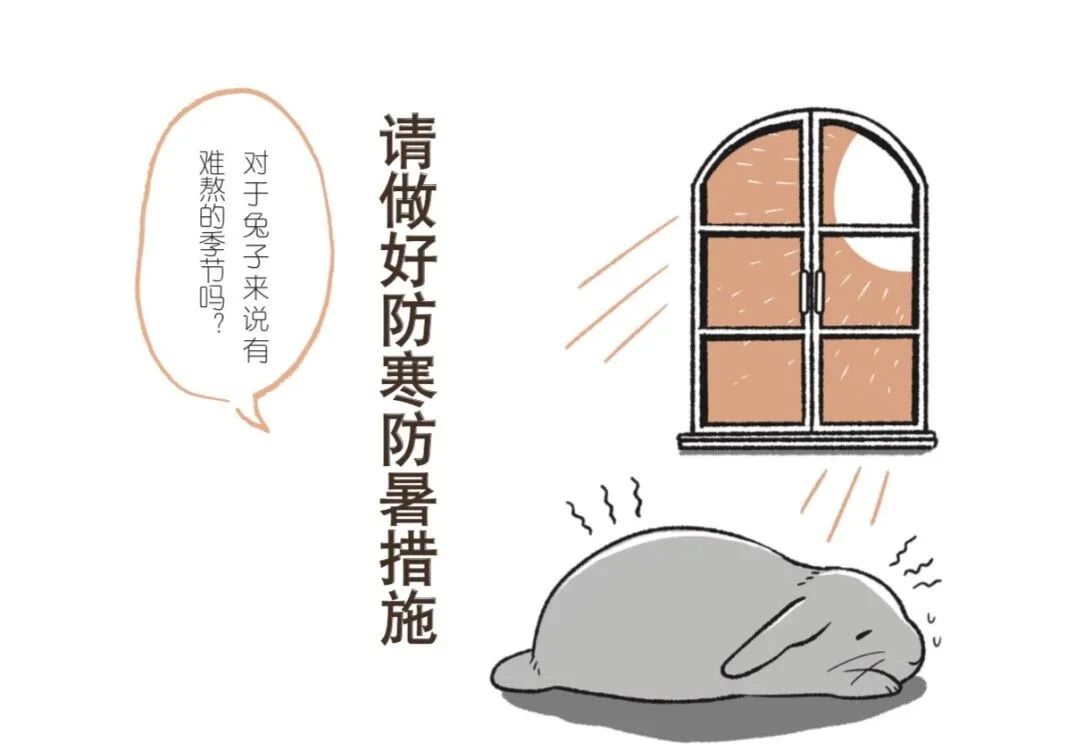 兔子不好养是什么意思,养兔子技巧