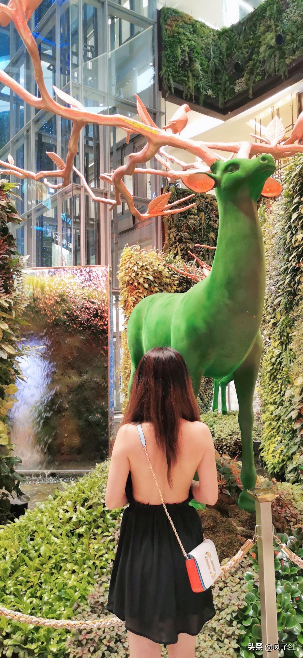 曼谷iconsiam商场怎么退税,泰国曼谷免税店购物退税