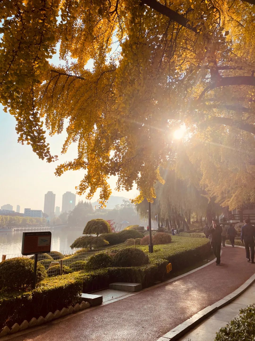 大连儿童公园，绿波荡漾的明泽湖，少了几分喧嚣，多了几分宁静