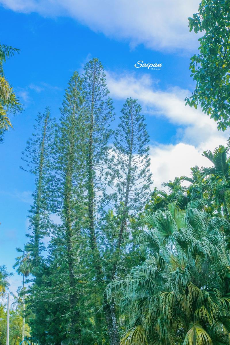 神秘的北纬15度遇见最美塞班,神秘的北纬45度