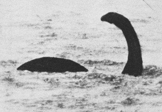 地球上有哪些未解之谜,地球上的未解之谜有哪些