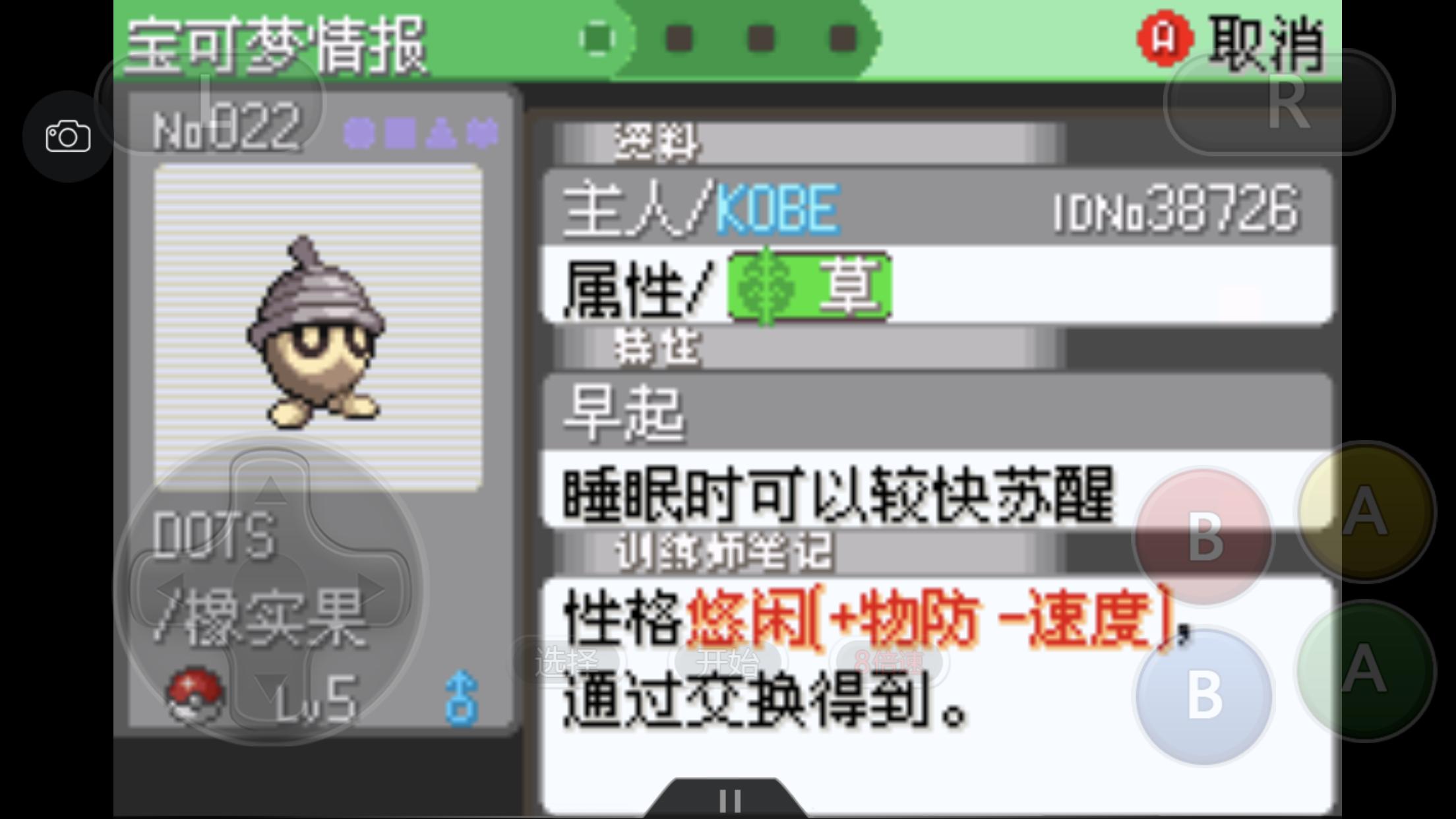 究极绿宝石3一周目完整图文攻略,口袋妖怪究极绿宝石4b二周目攻略