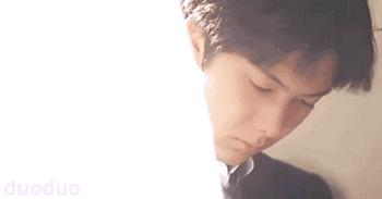 情书柏原崇藤井树解析,藤井树柏原崇是啥意思