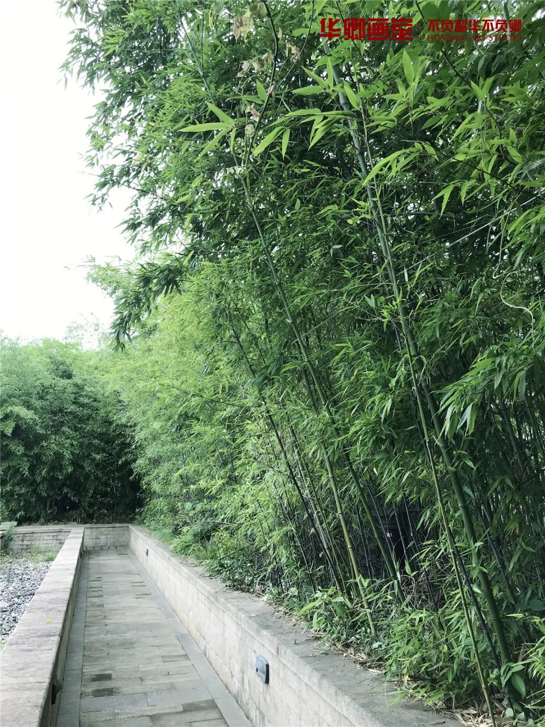 北京华卿画室一月多少钱,在北京华卿画室参加美术培训好吗