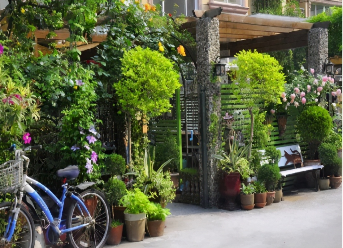 她40岁退休隐居,她40岁退休隐居无儿无女