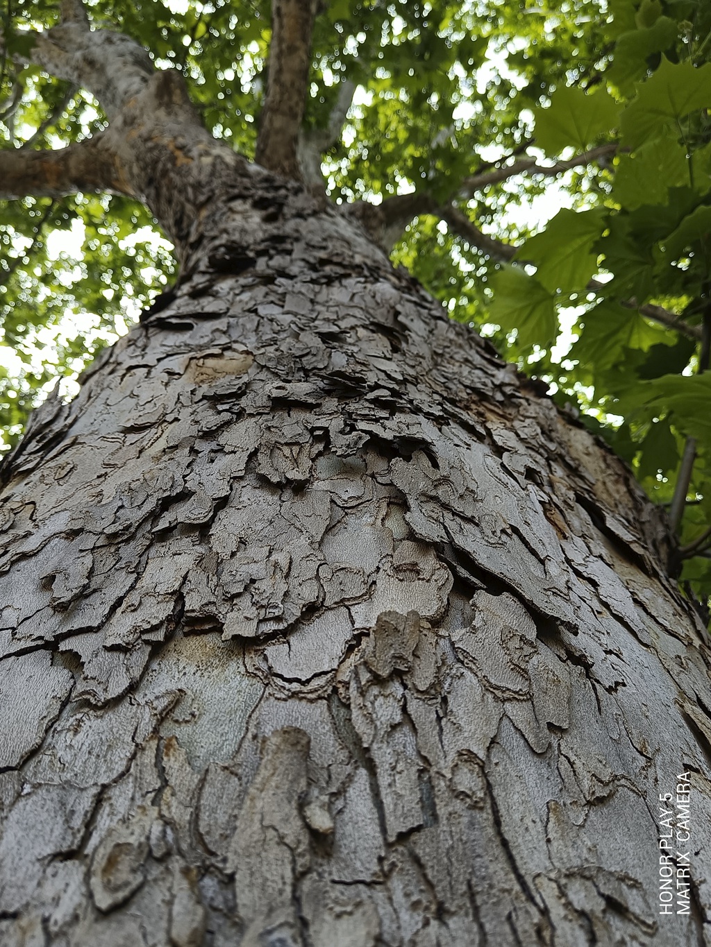 66w快充体验,荣耀66w车载快充超薄测试
