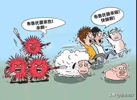 人布病防控,布病防控科普视频