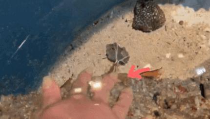 圣淘沙名胜世界完整版,圣淘沙旅游攻略地图大全