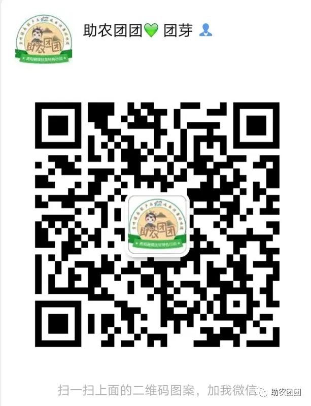 刺梨功能营养饮料,助农团团营养餐