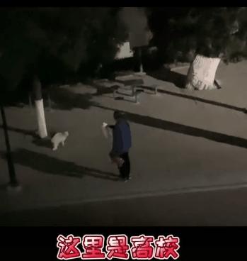 晚会喵、监考喵、楼长喵，被大学生宠爱也太幸福了吧